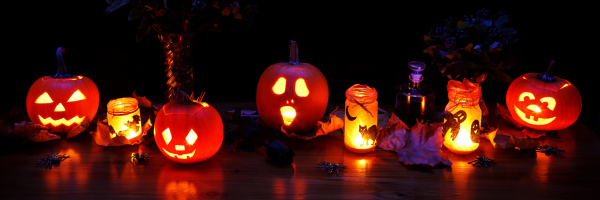 A row of glowing carved pumpkins.
